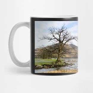 Buttermere Shore Mug